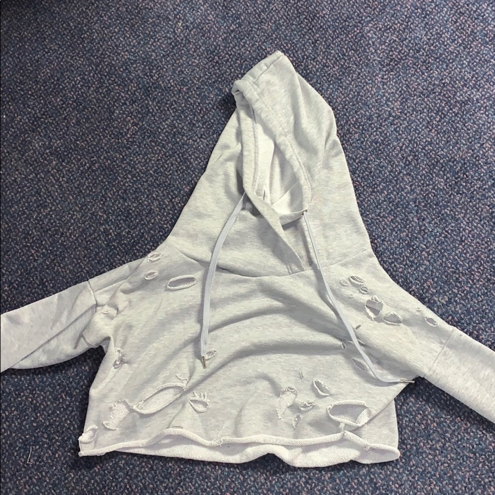 cropped sweatshirt